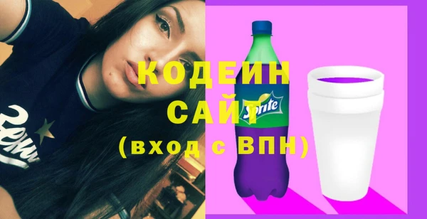 гашик Пыталово