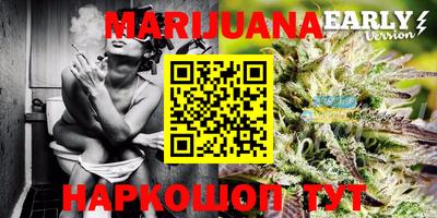 Альфа ПВП Аргун