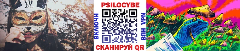 Псилоцибиновые грибы Psilocybe цена наркотик Астрахань