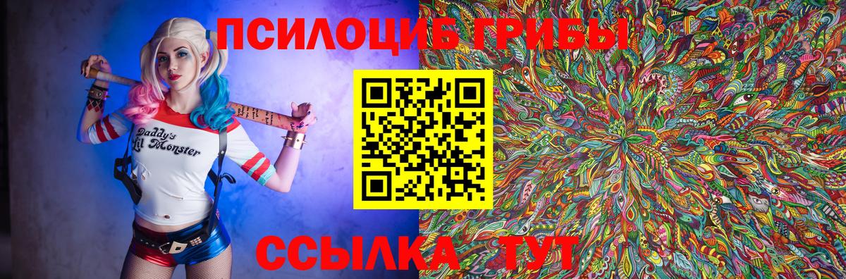 Псилоцибиновые грибы GOLDEN TEACHER  Астрахань  Псилоцибиновые грибы Psilocybine cubensis 