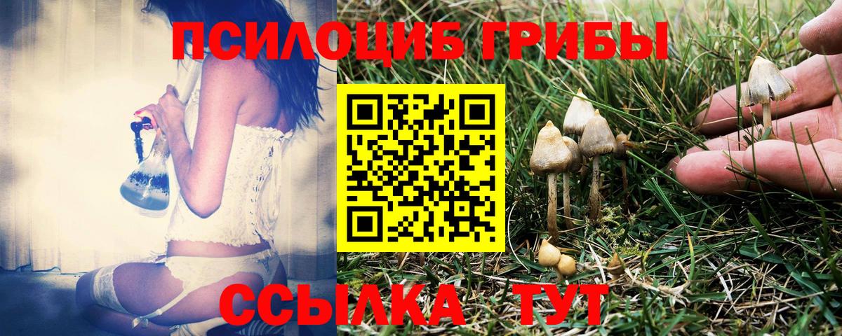Галлюциногенные грибы Cubensis Астрахань