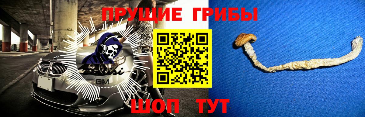 Галлюциногенные грибы мухоморы  цены наркотик  Астрахань  Псилоцибиновые грибы ЛСД  Вход с VPN 