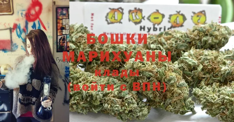 Шишки марихуана Amnesia  купить наркотики сайты  Астрахань 