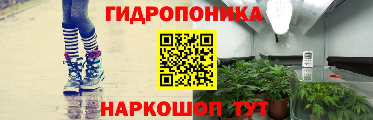 Марихуана план  Каннабис OG Kush  Конопля Ganja  Астрахань 